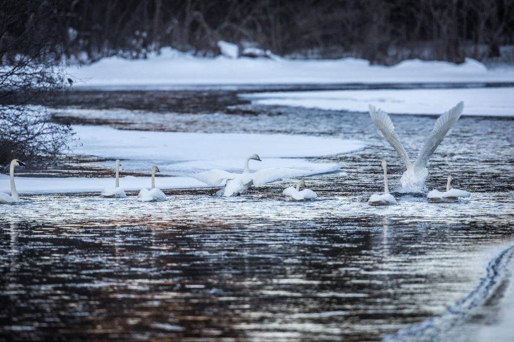 Photo provided by Washburn County Tourism/James Netz Photography